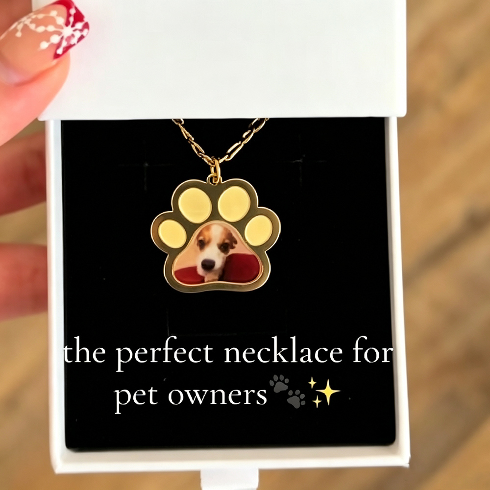 Gepersonaliseerde huisdierpoot - Custom Name Necklace Stainless Steel recensie en prijs